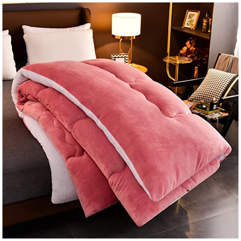 Warm Lamb Quilt Winter Blanket Heavy Warmth Luxury Duvet Double-Sided Velvet Quilt,180x220cm(3.5kg)