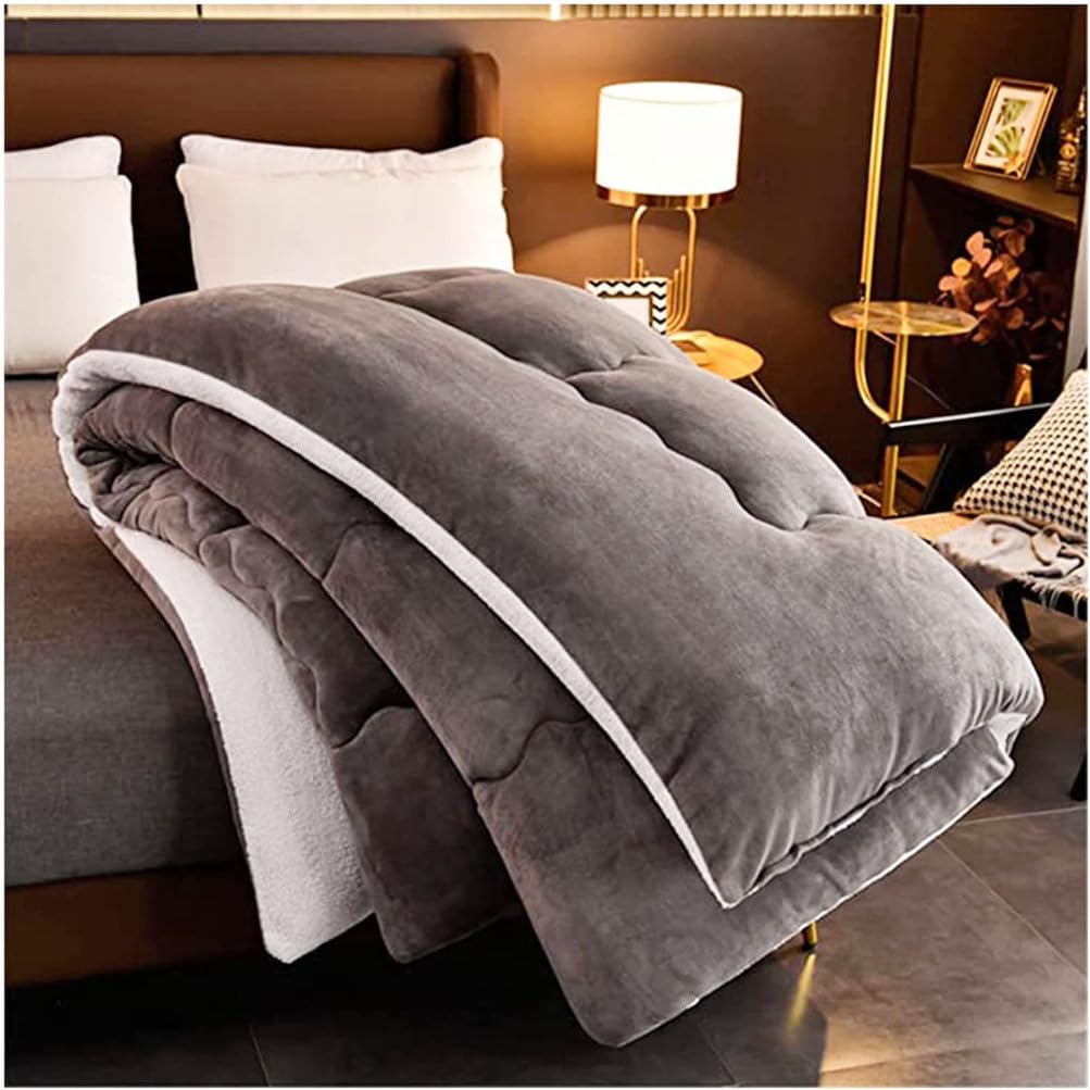 Warm Lamb Quilt Winter Blanket Heavy Warmth Luxury Duvet Double-Sided Velvet Quilt,180x220cm(3.5kg)