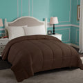 1 Piece Down Alternative Comforter Twin XL Size Box-Quilt Detailing Fluffy Filling