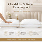 Pillows Queen Size Set of 2, Gusseted Pillow Set for Side Back Stomach Sleepers, White