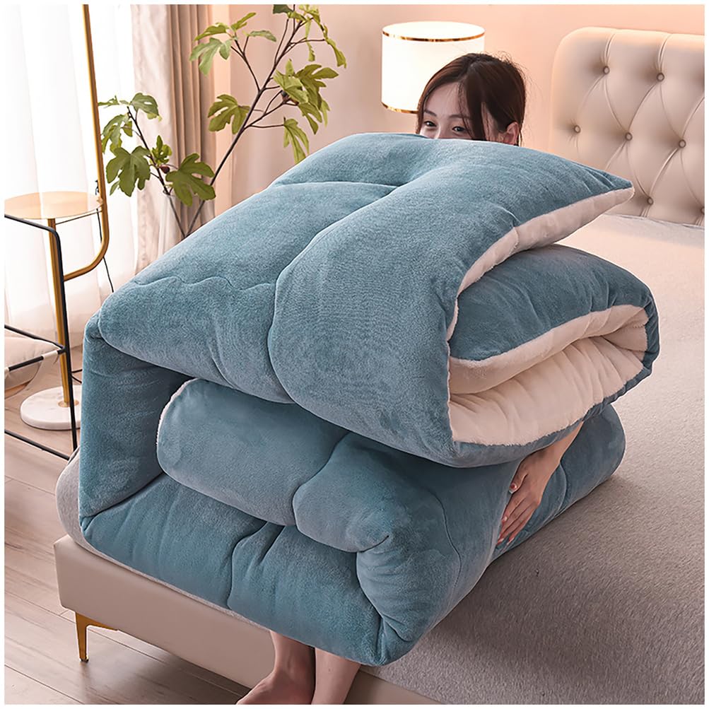Warm Lamb Quilt Winter Blanket Heavy Warmth Luxury Duvet Double-Sided Velvet Quilt,180x220cm(3.5kg)