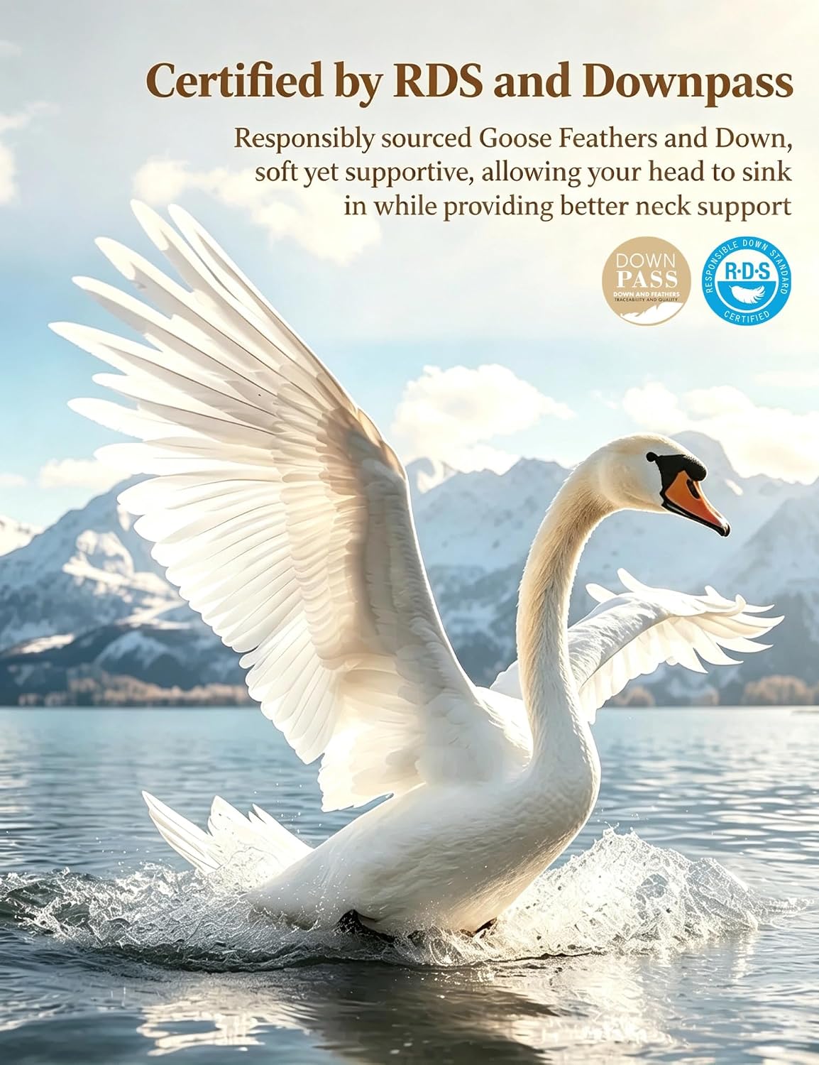 Goose Feather Down Pillows King Size Set of 2,Support for Side Sleepers