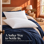 Bed Pillows Queen Size Set of 2, Cotton Cover